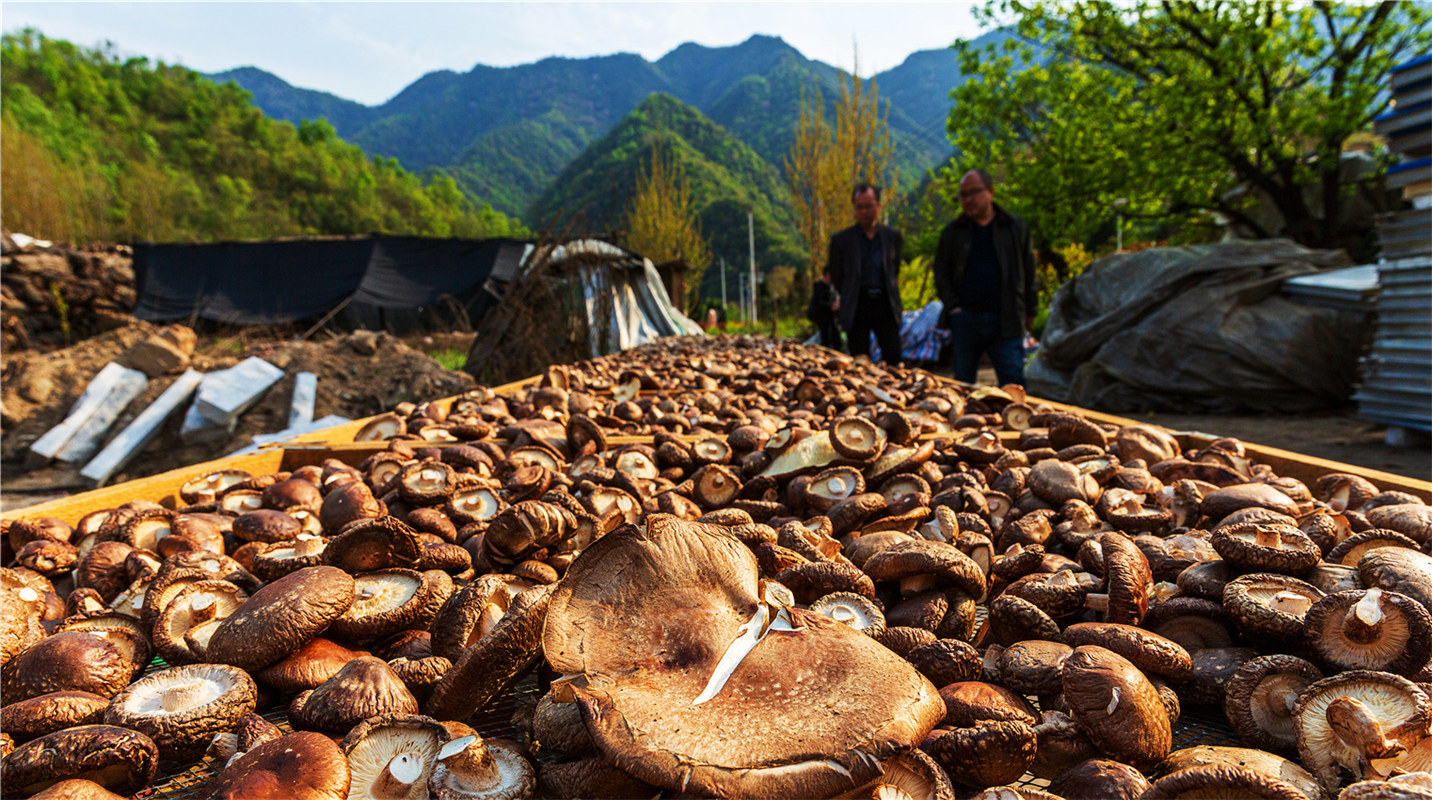 《結(jié)對幫扶，碩果累累》高波